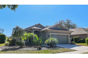 4410 SAWGRASS DRIVE, PALM HARBOR, FL 34685 - MLS#MFRTB8356781
