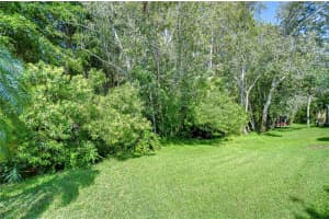 10222 WOODFORD BRIDGE STREET, TAMPA, FL 33626 Sold 07/02/25