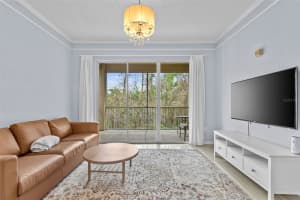 17106 CARRINGTON PARK DRIVE, TAMPA, FL 33647 - MLS#MFRTB8356900