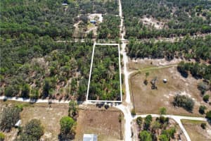 3606 CARPENTER COURT, DUNNELLON, FL 34433 Sold 04/09/25