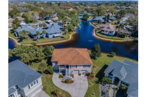1005 SPOONTAIL COURT, TARPON SPRINGS, FL 34689 Sold 05/05/25