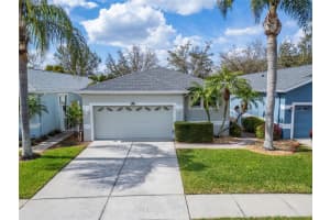 8141 AMBERSWEET PLACE, LAND O LAKES, FL 34637 Sold 07/01/25