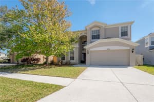 9224 Lost Mill Dr, LAND O LAKES