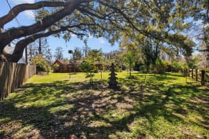 17119 RAINBOW TERRACE, ODESSA, FL 33556 - MLS#MFRTB8357149