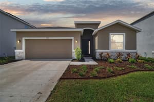 1409 Tropical Oasis Ave, PLANT CITY