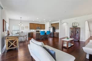10642 MISTFLOWER LANE, TAMPA, FL 33647 Sold 08/15/25