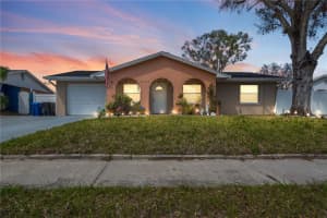 10724 TABOR DRIVE, TAMPA, FL 33625 Sold 04/14/25