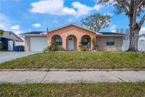 10724 TABOR DRIVE, TAMPA, FL 33625 Sold 04/14/25