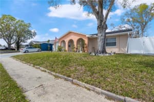 10724 TABOR DRIVE, TAMPA, FL 33625 Sold 04/14/25