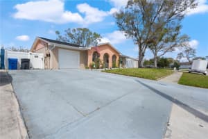 10724 TABOR DRIVE, TAMPA, FL 33625 Sold 04/14/25