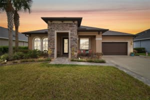 32702 NATURAL BRIDGE ROAD, WESLEY CHAPEL, FL 33543 Sold 05/05/25