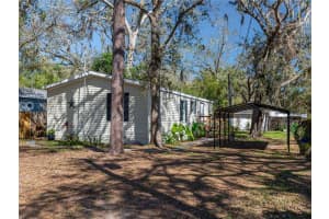 19105 BROWN ROAD, LUTZ, FL 33559 Sold 06/09/25