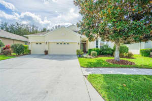 19140 SUNSET BAY DRIVE, LAND O LAKES, FL 34638 Sold 05/15/25