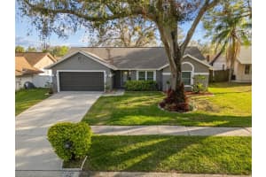 1613 DUSTY ROSE LANE, BRANDON, FL 33510 Sold 03/28/25