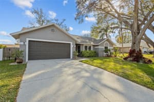1613 DUSTY ROSE LANE, BRANDON, FL 33510 Sold 03/28/25