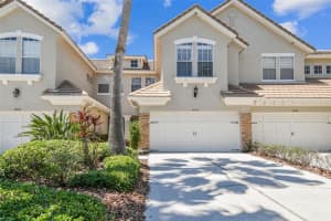 14542 Mirabelle Vista Cir, TAMPA
