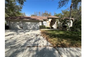9131 WOODRIDGE RUN DRIVE, TAMPA, FL 33647 Sold 05/23/25