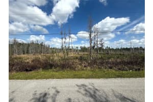 GREEN WILLOW RUN #LOT 745, WESLEY CHAPEL, FL 33544 Sold 09/12/25