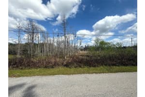 GREEN WILLOW RUN #LOT 745, WESLEY CHAPEL, FL 33544 Sold 09/12/25