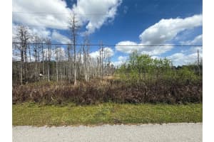 GREEN WILLOW RUN #LOT 745, WESLEY CHAPEL, FL 33544 Sold 09/12/25