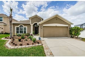 9211 Seeger Ln, LAND O LAKES