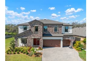 13103 Wildflower Meadow Dr, RIVERVIEW