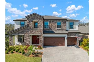 13103 WILDFLOWER MEADOW DRIVE, RIVERVIEW, FL 33579 - MLS#MFRTB8357620
