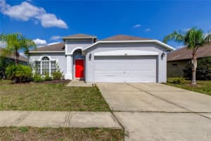 9407 Black Thorn Loop, LAND O LAKES