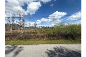 GREEN WILLOW RUN #LOT 746, WESLEY CHAPEL, FL 33544 Sold 09/12/25