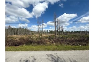 GREEN WILLOW RUN #LOT 746, WESLEY CHAPEL, FL 33544 Sold 09/12/25