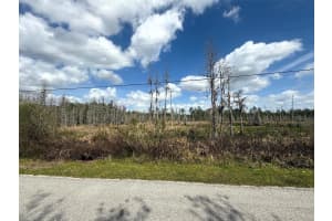 GREEN WILLOW RUN #LOT 746, WESLEY CHAPEL, FL 33544 Sold 09/12/25