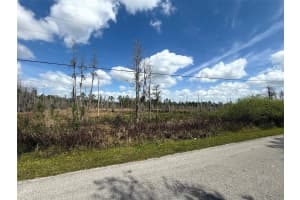 GREEN WILLOW RUN #LOT 746, WESLEY CHAPEL, FL 33544 Sold 09/12/25