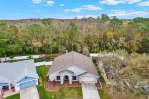 9527 PEBBLE GLEN AVE, TAMPA, FL 33647 Sold 05/14/25