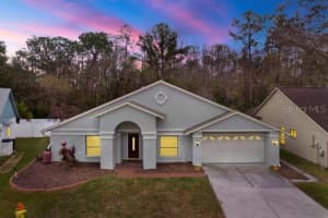9527 PEBBLE GLEN AVE, TAMPA, FL 33647 Sold 05/14/25