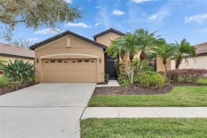 144 Silver Falls, APOLLO BEACH