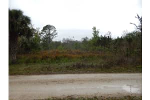 0 ROBIN TRAIL, KISSIMMEE, FL 34747 - MLS#MFRTB8357799