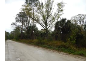 0 ROBIN TRAIL, KISSIMMEE, FL 34747 - MLS#MFRTB8357799