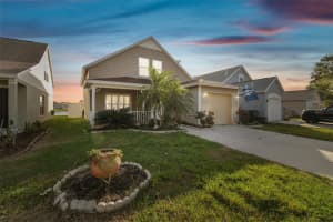 10610 LAKESIDE VISTA DRIVE, RIVERVIEW, FL 33569 Sold 03/28/25