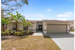 641 BAY LAKE TRAIL, OLDSMAR, FL 34677 Sold 06/13/25
