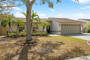 641 BAY LAKE TRAIL, OLDSMAR, FL 34677 Sold 06/13/25
