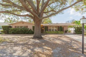4517 RENELLIE DRIVE, TAMPA, FL 33611 - MLS#MFRTB8357832