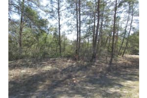 4381 MALALUKA CIRCLE, CITRUS SPRINGS, FL 34433 Sold 03/21/25