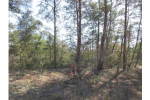 4381 MALALUKA CIRCLE, CITRUS SPRINGS, FL 34433 Sold 03/21/25