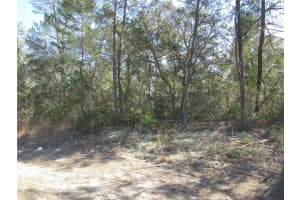 4381 MALALUKA CIRCLE, CITRUS SPRINGS, FL 34433 Sold 03/21/25