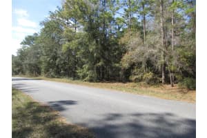 3199 TALINUM PLACE, CITRUS SPRINGS, FL 34433 Sold 04/11/25