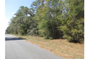 3199 TALINUM PLACE, CITRUS SPRINGS, FL 34433 Sold 04/11/25