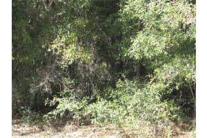 3199 TALINUM PLACE, CITRUS SPRINGS, FL 34433 Sold 04/11/25