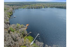 6302 FITZGERALD ROAD, ODESSA, FL 33556 - MLS#MFRTB8357866