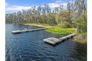 6302 FITZGERALD ROAD, ODESSA, FL 33556 - MLS#MFRTB8357866