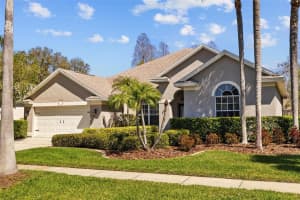 11917 MIDDLEBURY DRIVE, TAMPA, FL 33626 Sold 03/24/25